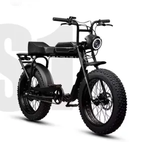 48V Electric Vehicle Lithium Battery  Bike