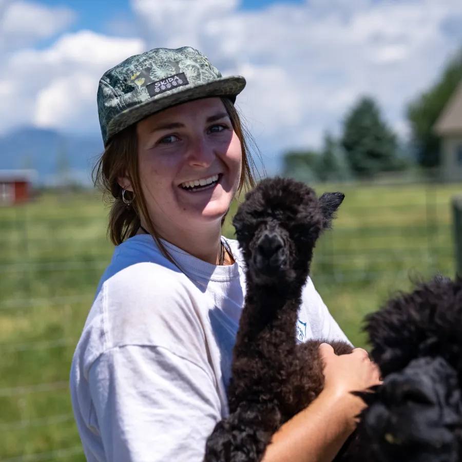 Alpaca & Llama Farm Tour Experience