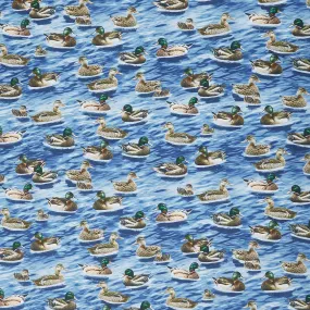 Animals - Mallard Ducks Blue Yardage