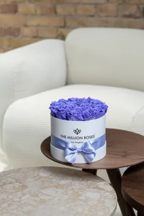 Classic White Box | Violet Roses