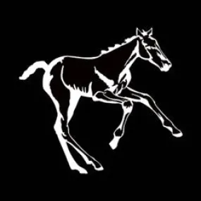 "Foal High Performance Vinyl Decal