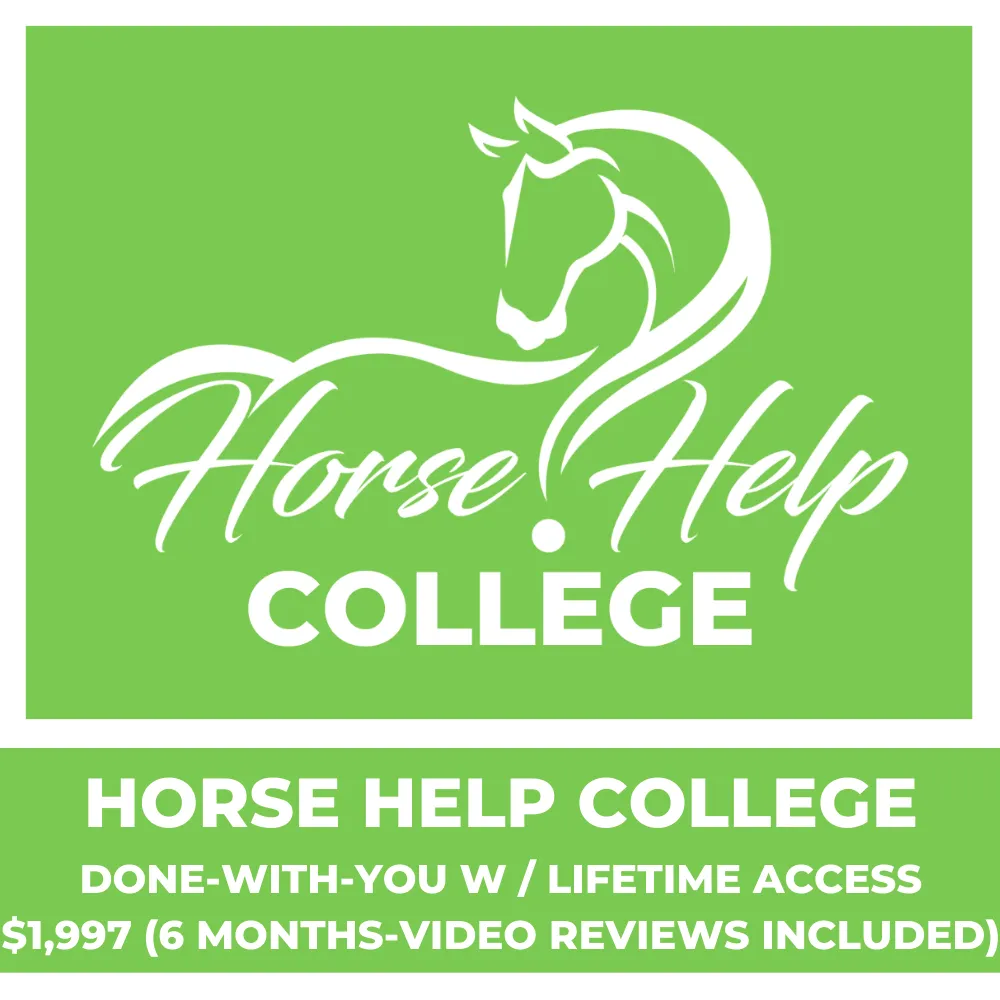 Weekly Virtual Lessons With Video Review [6 Months] - DWY Horse Help College Accelerator